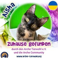 Aisha - ZUHAUSE GEFUDEN am 11.10.2024