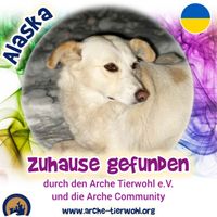 Alaska - ZUHAUSE GEFUNDEN am 29.09.2024