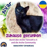 Alvar - ZUHAUSE GEFUNDEN am 11.12.2024