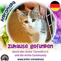 Andromeda - ZUHAUS GEFUNDEN am 1.9.2024