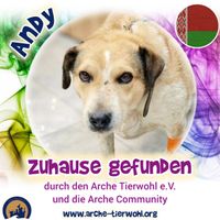 Andy - ZUHAUSE GEFUNDEN am 6.12.24