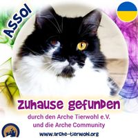 Assol - ZUHAUSE GEFUNDEN am 26.8.2024