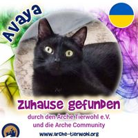 Avaya - ZUHAUSE GEFUNDEN am 21.11.2024