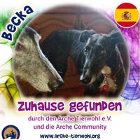 Becka - ZUHAUSE GEFUNDEN am 22.09.2024