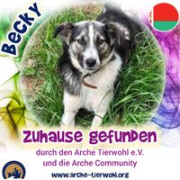 Becky - ZUHAUSE GEFUNDEN am 15.09.2024