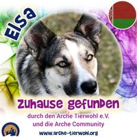 Elsa - ZUHAUSE GEFUNDEN am 04.02.2025