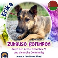 Erika - ZUHAUSE GEFUNDEN am 8.9.2024