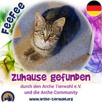 FeeFee - ZUHAUSE GEFUNDEN am 19.8.2024