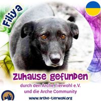 Filiya - ZUHAUSE GEFUNDEN am 28.8.2024