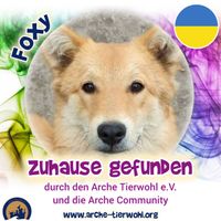 Foxy - ZUHAUSE GEFUNDEN am 04.1.2025