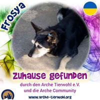 Frosya ZUHAUSE GEFUNDEN am 30.09.24