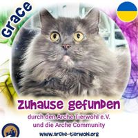 Grace - ZUHAUSE GEFUNDEN am 1.9.2024