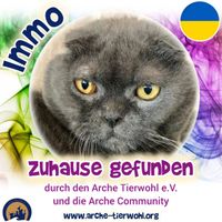 Immo - ZUHAUSE GEFUNDE am 30.01.2025