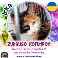 Irka - ZUHAUSE GEFUNDEN am 7.9.2024