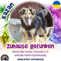 Kazan - ZUHAUSE GEFUNDEN am 16.8.2024