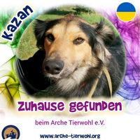 Kazan - ZUHAUSE GEFUNDEN am 23.09.2024