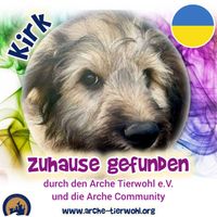 Kirk - ZUHAUSE GEFUNDEN am 3.1.2025