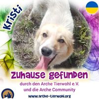 Kristi - ZUHAUSE GEFUNDEN am 11.8.2024