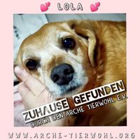 Lola - ZUHAUSE GEFUNDEN am 28.02.2024