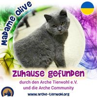 Madame Olive - ZUHAUSE GEFUNDEN am 1.11.2024