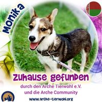 Monika 2 - ZUHAUSE GEFUNDEN am 26.8.2024