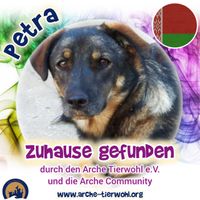 Petra -ZUHAUSE GEFUNDEN am 14.11.2024