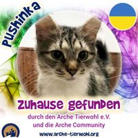 Pushinka - ZUHAUSE GEFUNDEN am 27.12.2024