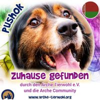 Pushok - ZUHAUSE GEFUNDEN am 17.8.2024