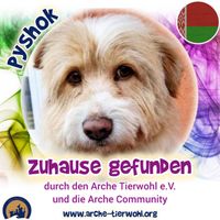 Pyshok - ZUHAUS&Eacute; GEFUNDEN am 10.12.2024