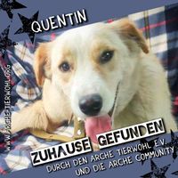 Quentin - ZUHAUSE GEFUNDEN am 9.5.2024