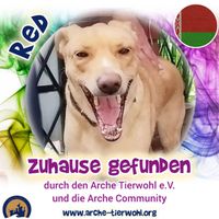 Red - ZUHAUSE GEFUNDEN am 20.01,2025