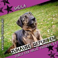 Sheila - ZUHAUSE GEFUNDEN am 10.2.2024