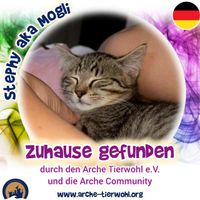 Stephy - ZUHAUSE GEFUNDEN am 26.8.2024