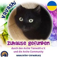 Vavashi - ZUHAUSE GEFUNDEN am 08.12.2024