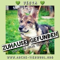 Vesta - ZUHAUSE GEFUNDEN am 19.1.2024