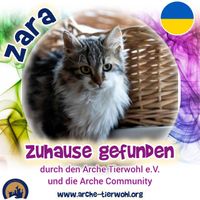 Zara - ZUHAUSE GEFUNDEN am 08.02.2025